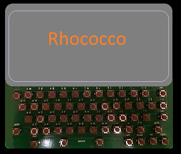 File:Rhococco concept art.png
