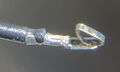 Thumbnail for version as of 13:46, 25 September 2025